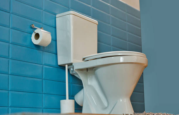 istock toilet bowl in the bathroom 1050848022