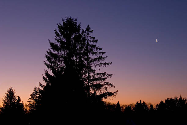 istock East of the Sun... 105085074