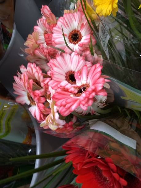istock Close up white autumn bouquet arrangement 1050851442