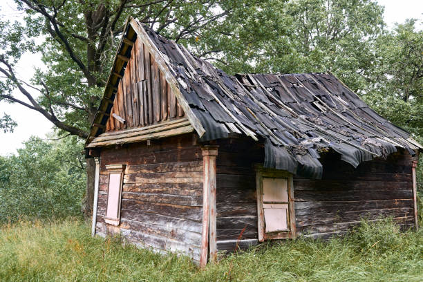 istock old wooden house in the forest 1050852098