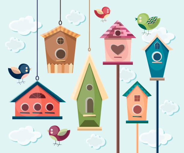 коллекция разноцветных птиц и с высоток - birdhouse stock illustrations