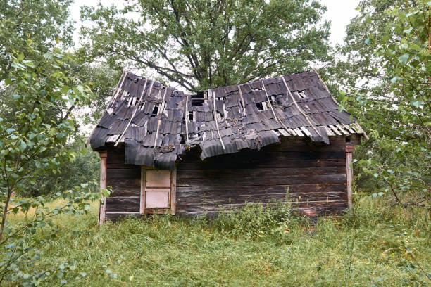 istock old wooden house in the forest 1050854562