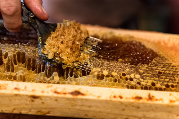 istock Beekeeper removes the wax lids from honeycombs frames 1050855210