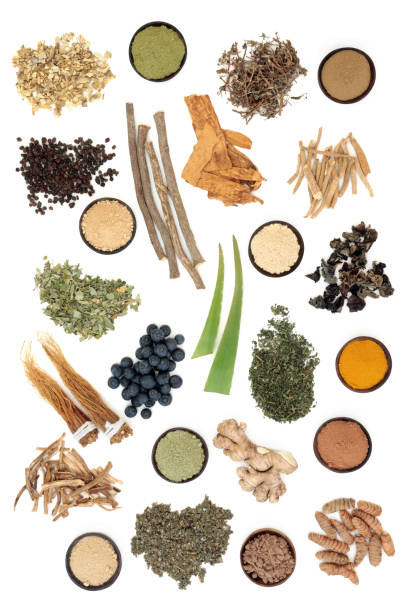 selecção de comida adaptogen - ginseng isolated root herbal medicine - fotografias e filmes do acervo