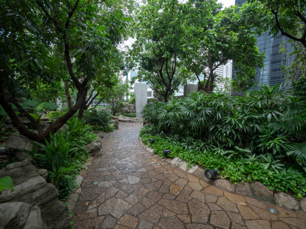 istock Cheung Kong Park Hong Kong 1050871686