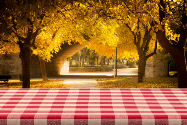 Backgrounds: Red and white checkered tablecloth with yellow autumn foliage at background Empty table covered with red and white checkered tablecloth with defocused yellow autumn at background. Ideal for product display on top of the table. Predominant color are yellow and red. DSRL studio photo taken with Canon EOS 5D Mk II and Canon EF 100mm f/2.8L Macro IS USM. fall picnic table stock pictures, royalty-free photos & images