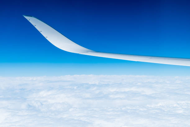 vertical shot of a white airplane wing winglet