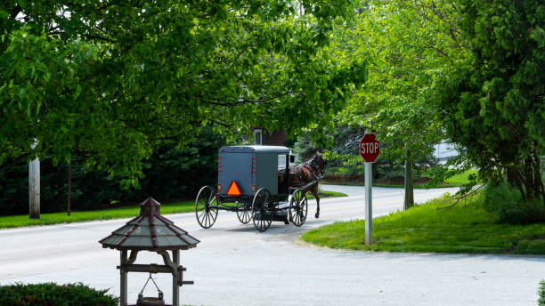 istock Amish Horse and Buggy going down the Road 1050881608