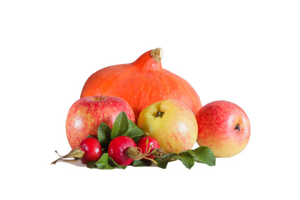 istock Pumpkin, three apples and rosehips with leaves 1050884284