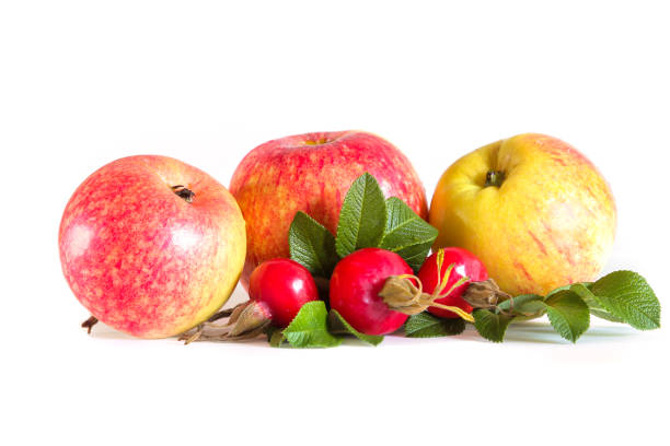 istock Three apples and rosehips with leaves 1050884386
