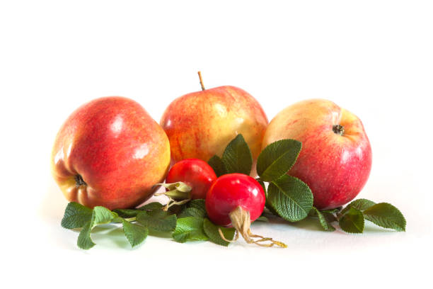 istock Three apples and rosehips with leaves isolated on white 1050885582