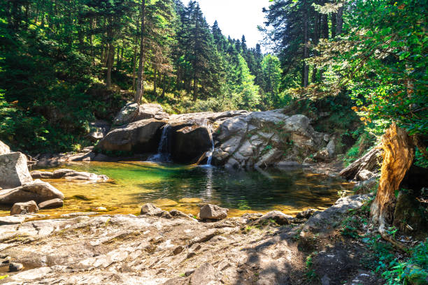 istock Small River Among Forest in Uludag National Park 1050890184