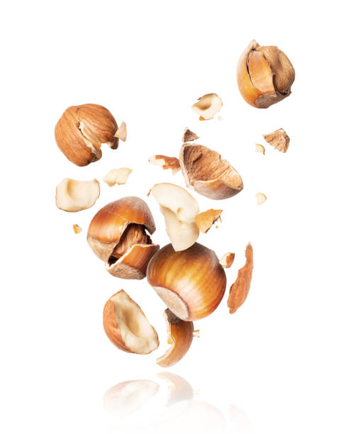 istock Hazelnuts crushed in the air close-up, isolated on white background 1050891852