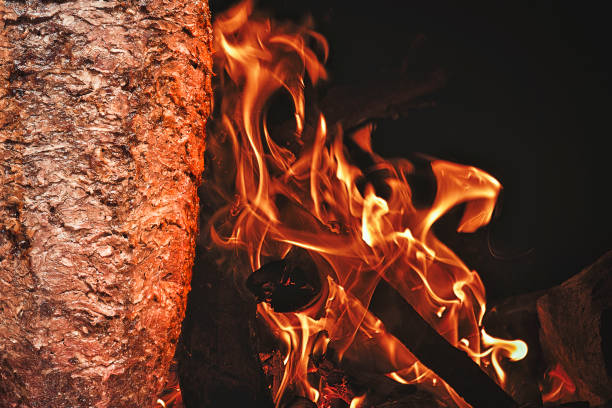 Donner kebab red meat fast food on barbecue flame