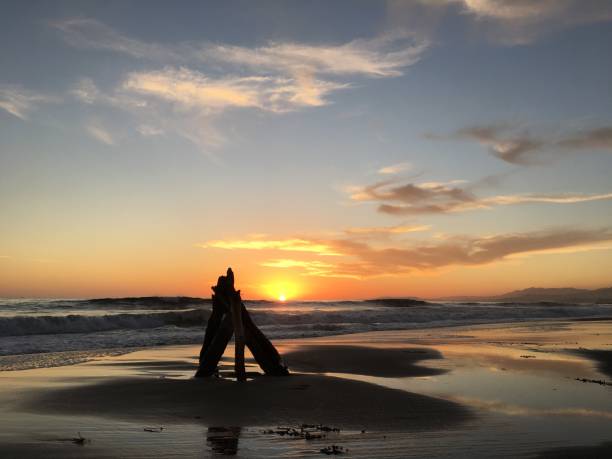 istock Driftwood at  Lowtide at Sunset 1050912174
