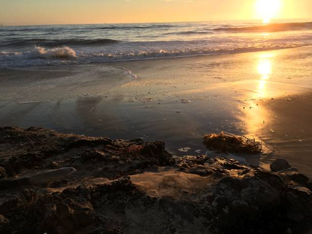 istock Last of the Sunlight by the Sea 1050912308