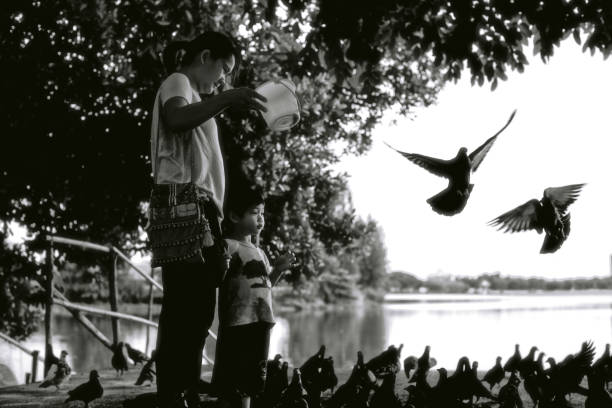 istock Mother and son feeding pigeons in a park 1050912458