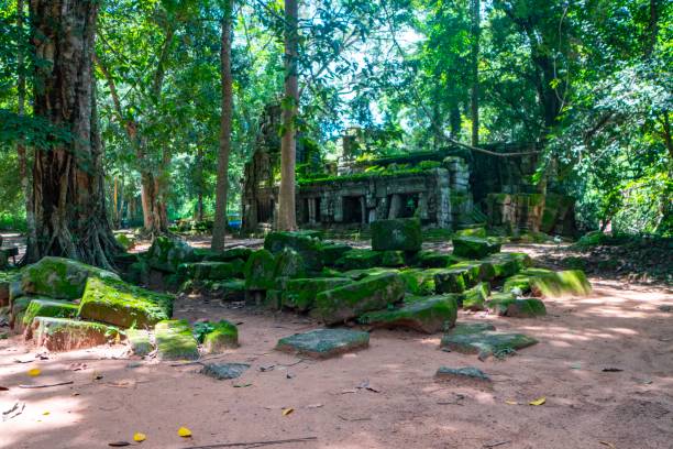 ta phrom ad angkor wat vicino a siem reap - bayon phrom foto e immagini stock