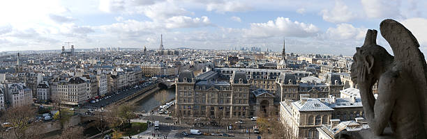 panoramiczne widoki na paryż, francja - chimera zdjęcia i obrazy z banku zdjęć