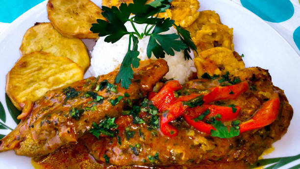 coconut fish typical dominican dish, from the region of samana - tempera painting fotos imagens e fotografias de stock