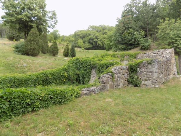 istock Old ruins on the edge of the forest 1050933196