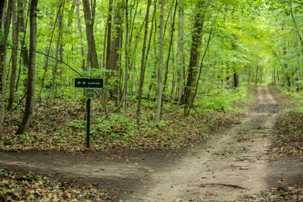 istock Beausolie Island Hiking Trail 1050947492