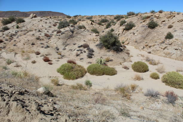 istock ARROYO - WASH - CREEK BED PIONEERTOWN 1050967782