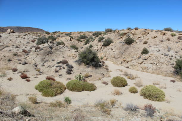 ARROYO - WASH - CREEK BED PIONEERTOWN