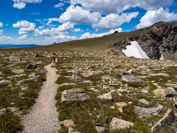 Hiker on Mountain Summit Footpath, Continental Divide Trail, Rocky Mountains National Park A view of a hiker on a footpath through a mountain summit meadow in Rocky Mountains National Park, part of the Continental Divide Trail. mauer park stock pictures, royalty-free photos & images