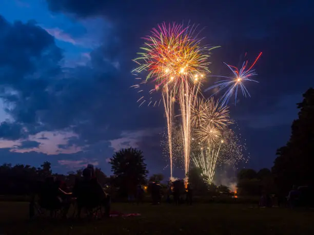 Photo of Firework Display Above Park, Fourth of July, People Watching