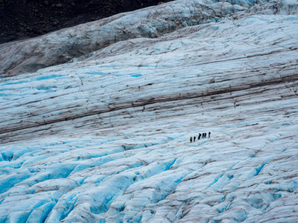 Glacier Close Up, People Traversing Ice, Glacier Hike A group of people traversing Exit Glacier in Kenai Fjords National Park, Alaska, full frame image of ice. mauer park stock pictures, royalty-free photos & images