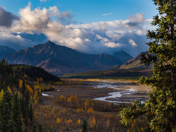 istock River Valley in Denali National Park, Teklanika River, Mountains in Autumn 1050981746