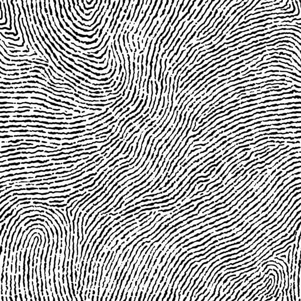 Fingerprint seamless background on square shape. Fingerprint seamless background on square shape. fingerprint stock illustrations