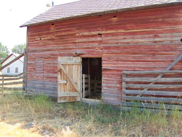 istock Weathered Barn Building with Open Door 1050996682