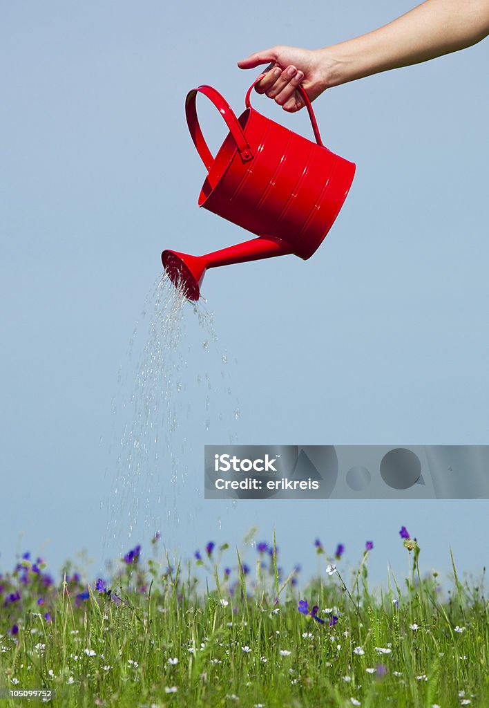 Arroser les fleurs - Photo de Arroser libre de droits