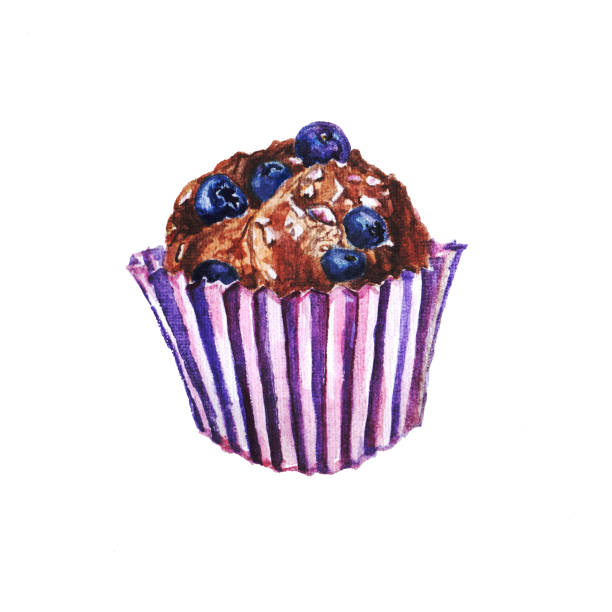 ilustraciones, imágenes clip art, dibujos animados e iconos de stock de muffin de chocolate con arándanos - muffin blueberry muffin blueberry isolated