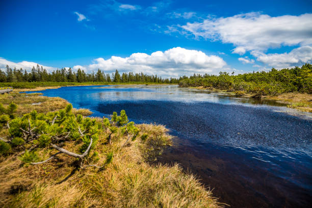 istock windy with a chance of rain 1051000018