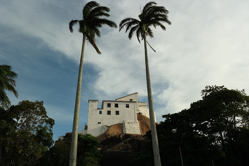 Palm trees and convent