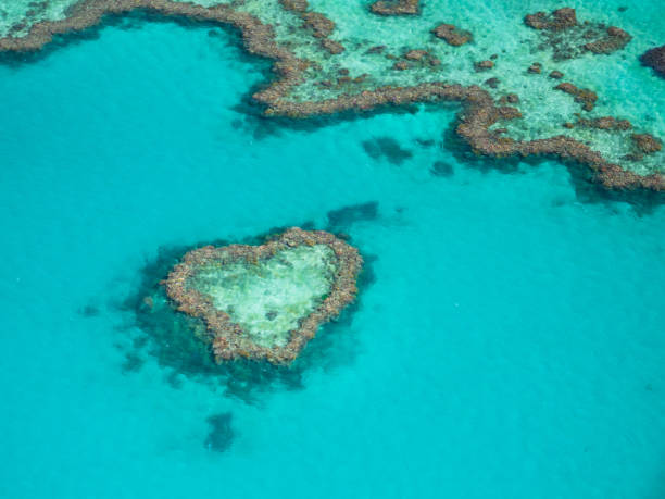 Beautiful Heart Reef in the Great Barrier Reef, Australia. Heart Reef in the Great Barrier Reef, viewed from a Seaplane great barrier reef marine park stock pictures, royalty-free photos & images
