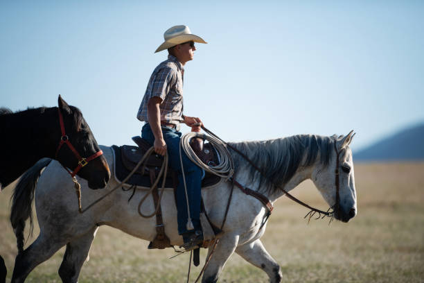 istock Cowboy galloping in Utah, USA 1051021016