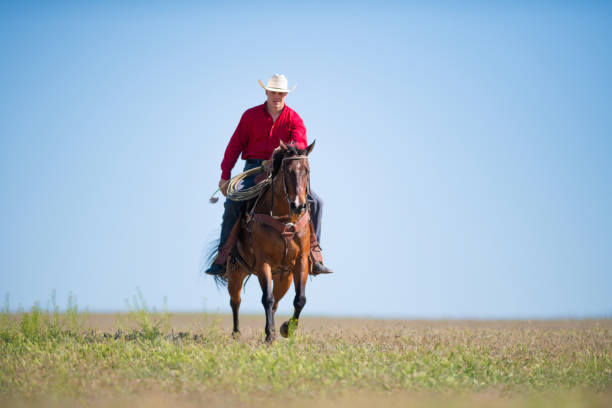 istock Cowboyin Utah, USA 1051021086