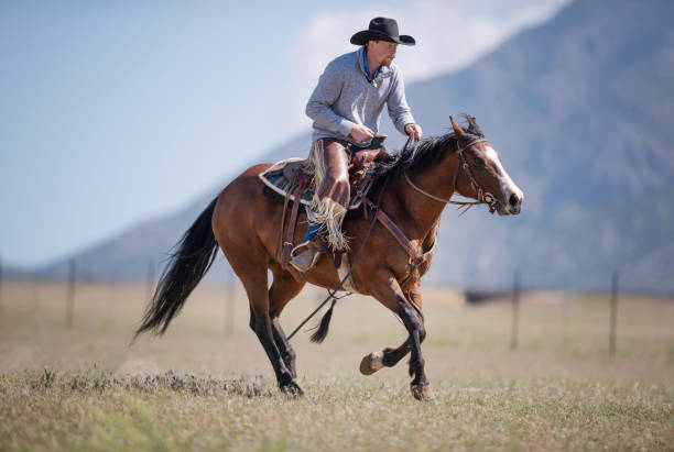 istock Cowboy galloping in Utah, USA 1051021446