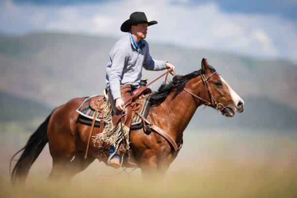istock Cowboy galloping in Utah, USA 1051021450