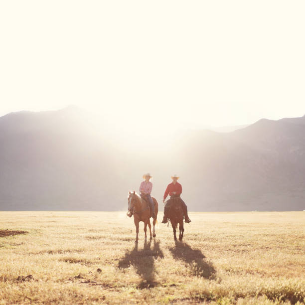 istock Cowboys Horseback Riding at sunrise 1051021514