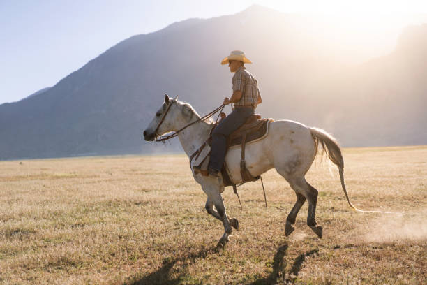 istock Cowboy Horseback Riding at sunrise 1051021538