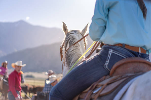 istock Roping cattle for branding in Utah 1051021570