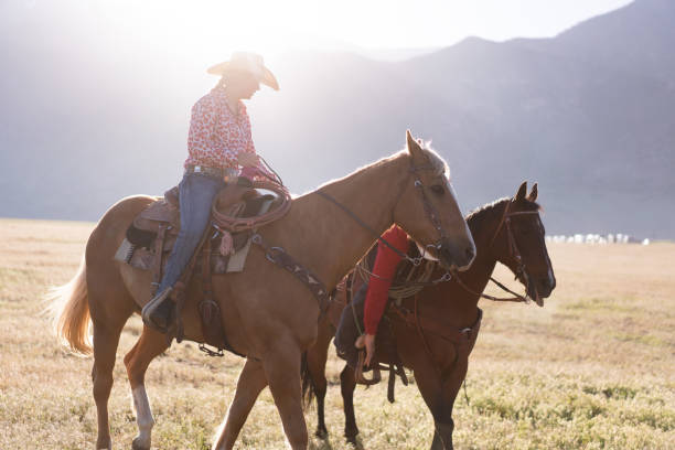 istock Cowboys Horseback Riding at sunrise 1051022924