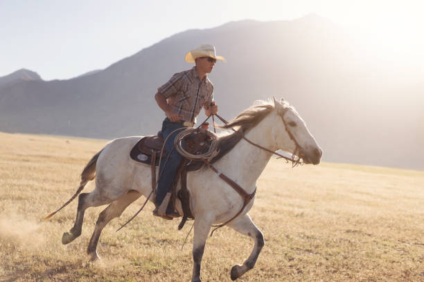 istock Cowboy Horseback Riding at sunrise 1051022956