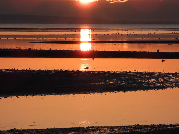 istock Early morning at Boundary bay 1051026644