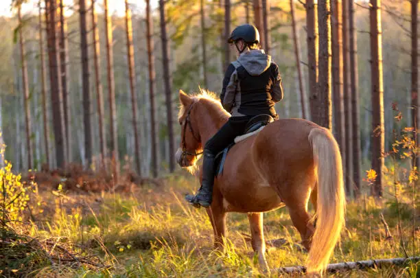 Woman horseback riding in forest